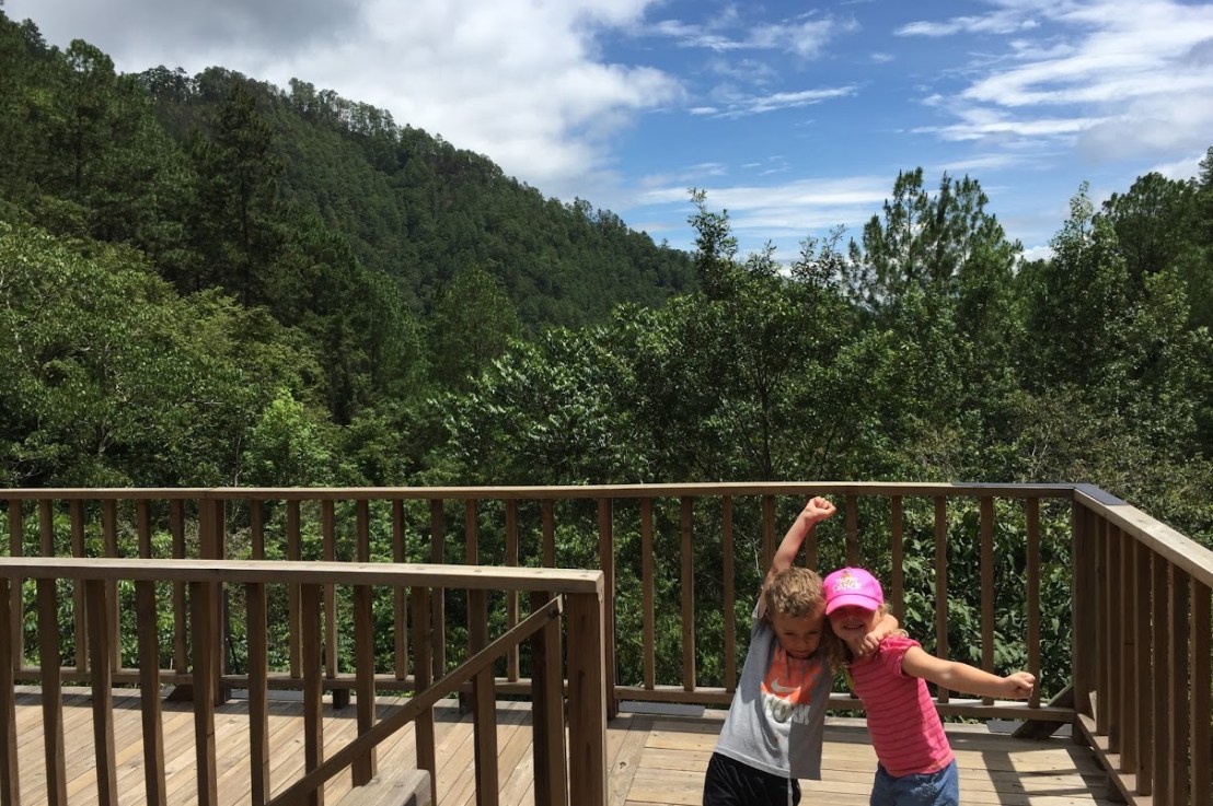 The Warmth of the&nbsp;Sun