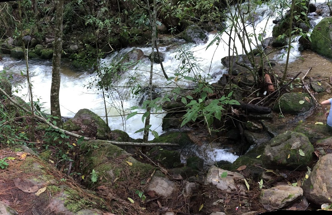 Tomorrow’s Love is For&nbsp;Today